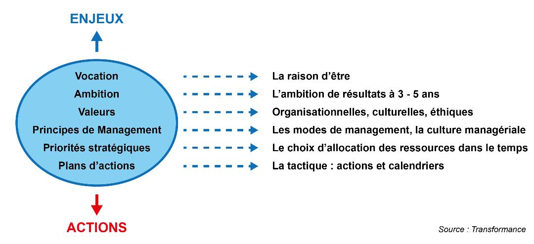 schéma de la vision